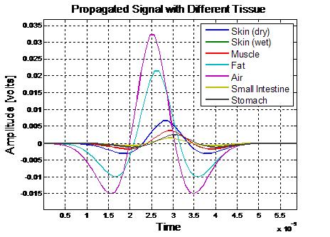인체 조직에 따른 펄스의 변화