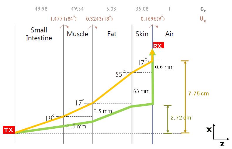 Propagation in layered tissue