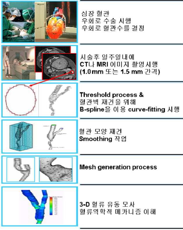 실제 혈관 모델에서 혈류역학 수치 모사를 하기 위한 연구 수행 절차 개략도