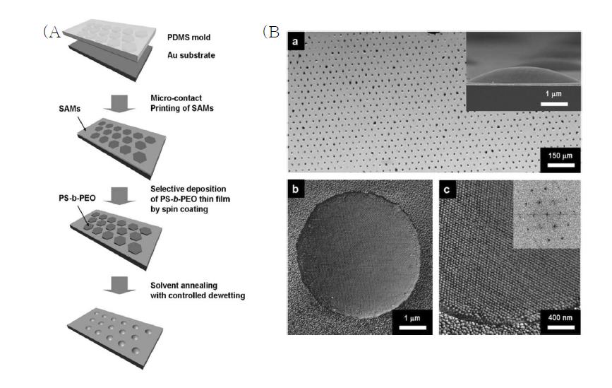마이크로-접촉 프린팅법과 용매숙성법을 결합하여 블록공중합체의 자기조립 거동을 제어하는 방법의 개략도(A)와 PS-b-PEO 블록공중합체에 적용하여 얻어진 결과 (B).
