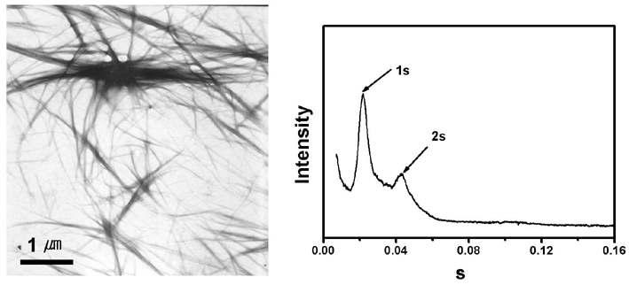 TEM image and SAXS analysis of dendron-pyrene conjugate in chloroform.