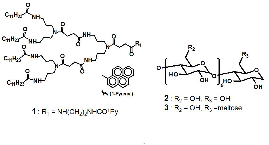 Structure of the amide dendron-pyrene conjugates.