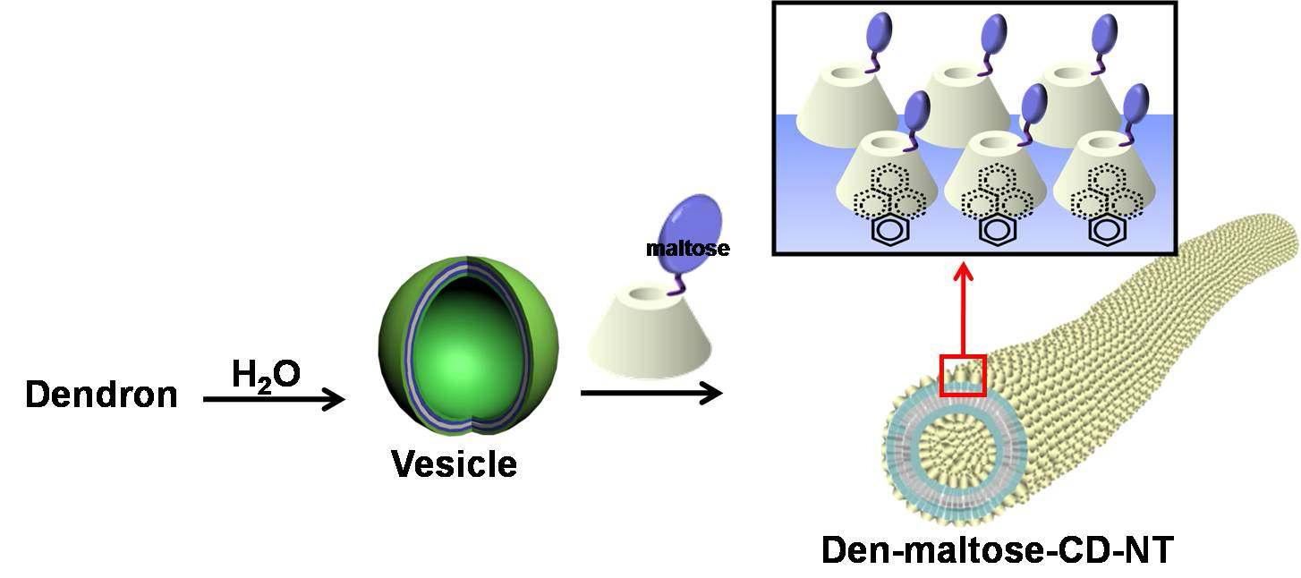 Schematic route to maltosyl-CD-NTs