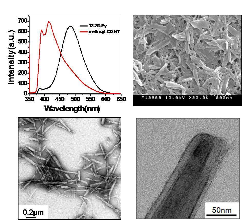 PL spectra and SEM, TEM images of maltosyl-CD-NT