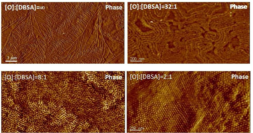 PS-b-PEO(lamellar)/DBSA 시스템에 대한 AFM 결과.