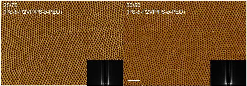 PS-b-P2VP/PS-b-PEO 블렌드의 AFM과 GISAXS 데이터. (a) 25/75 블렌드; (b) 50/50 블렌드