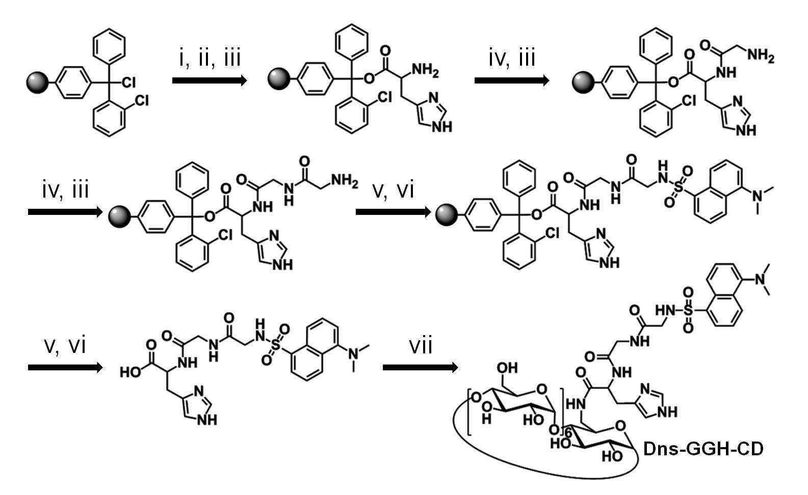 Dns-GGH-CD 합성 모식도. i) Fmoc-His(trt)-OH, DIPEA, ii) MeOH, DIPEA, iii) 50% Pip/DMF, iv) Fmoc-Gly-OH, DIPC, HoBt, v) dansyl chloride, TEA, vi) TFA/TIS/H2O, vii) mono-6-deoxy-amino-β-CD, PyBop, HoBt, DIPEA.
