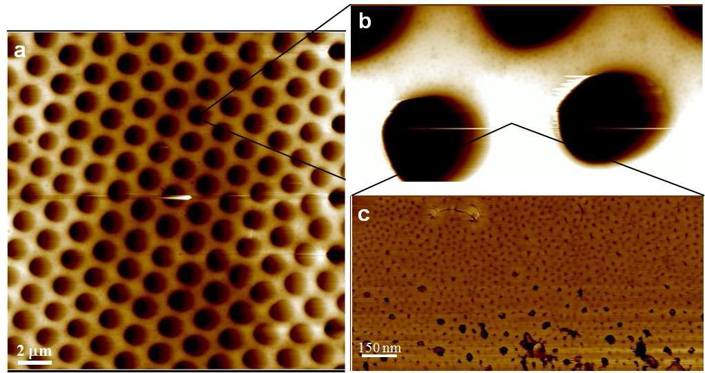Breath figure 방법을 이용하여 제조한 다공성 PS-b-PEO 블록공중합체 필름의 구조. (a~c는 서로 다른 스케일에서 측정된 AFM사진)