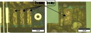 Optical image of conductive particle on Au bump after thermal shock test.