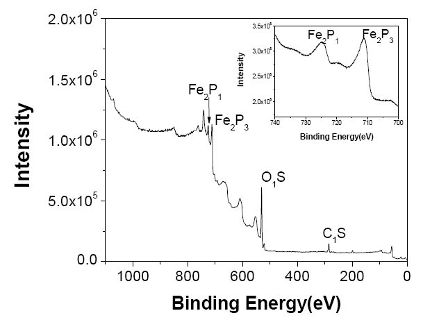산화철 나노입자의 XPS 결과