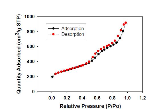 메조포러스 카본의 등온 질소 흡착-탈착 실험