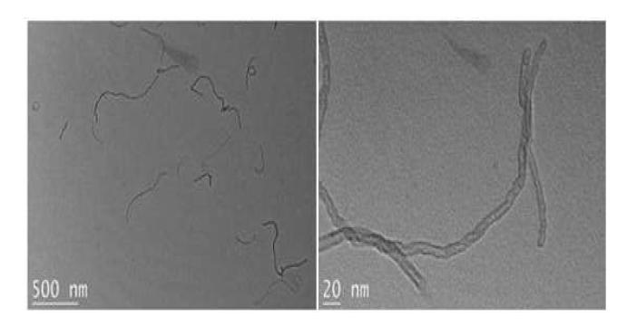 기능화된 탄소나노튜브의 TEM 이미지