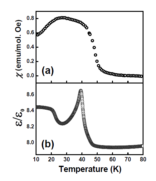 (a) Magnetic susceptibility of YMn1.99Fe0.01O5 at various temperatures. (b) The temperature dependence of dielectric constants in YMn1.99Fe0.01O5.