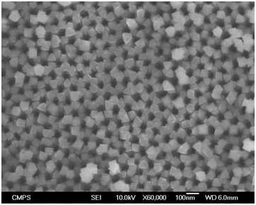 SEM image of CoCr2O4/AAO thin film by PLD.