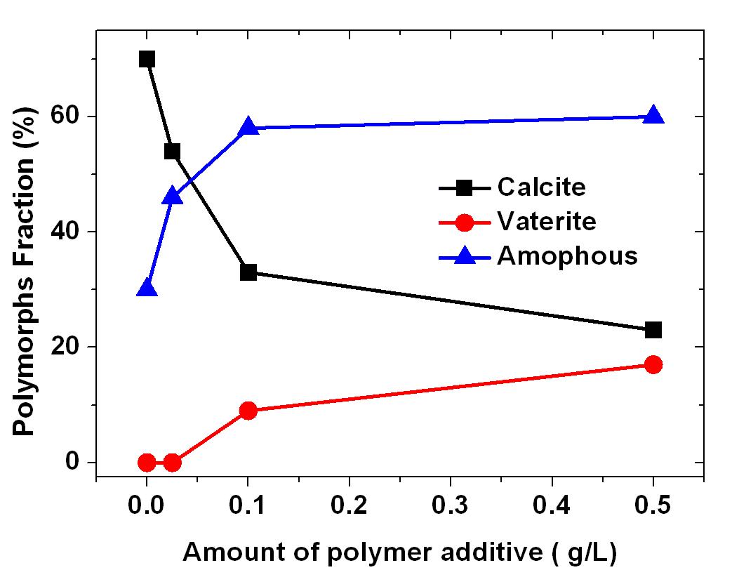Final polymorphs fraction of calcium carbonate due to the polymer additive concentration.