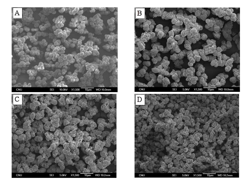 SEM image observed 0.1 M CaCO3 cystal structure at 24 hr with Asp concentration; (A) 0.1 M, (B) 0.05 M, (C) 0.025 M, (D) 0.01 M.