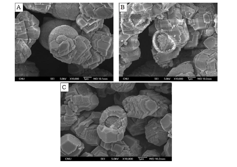 SEM images implying agglomeration of vaterite on calcite at crystallization reaction 24 hr with Asp concentration; (A),(B) 0.05 M, (C) 0.01 M.
