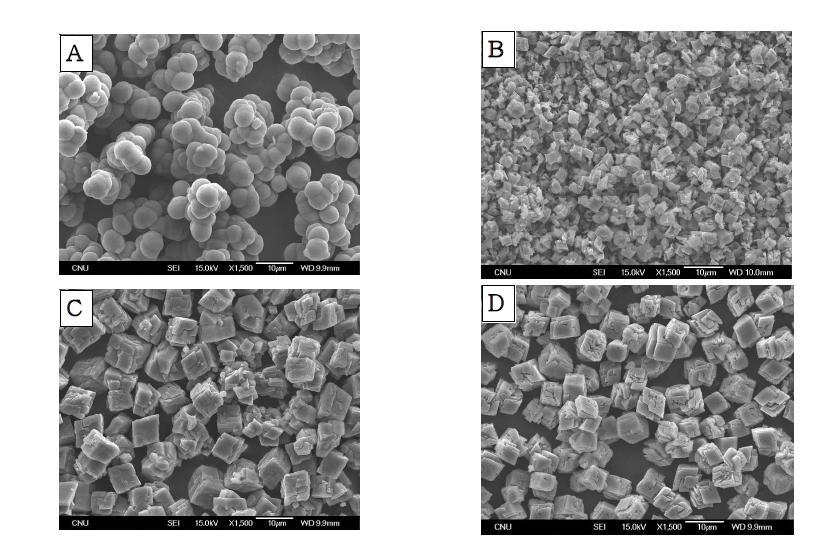 SEM images of 0.1 M CaCO3 by changing dropping velocity of Asp solution to CaCl2 and Na2CO3 mixture; (A) dumping of Asp, (B) 1 mL/min, (C) 4 mL/min, (D) 10 mL/min.