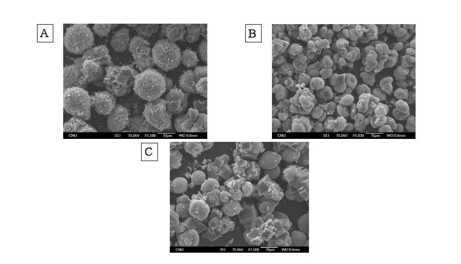 SEM images of CaCO3 by changing dropping velocity of Na2CO3 to CaCl2 solution with a fixed dropping Asp solution at 2 mL/min; (A) 3.4 mL/min, (B) 6.0 mL/min, (C) 8.5 mL/min.