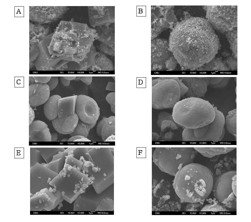 SEM images of 0.1 M CaCO3 by changing dropping velocity of Na2CO3 to CaCl2 with a fixed dropping Asp solution at 2 mL/min; (A, B) 3.4 mL/min, (C, D) 6.0 mL/min, (E, F) 8.5 mL/min.