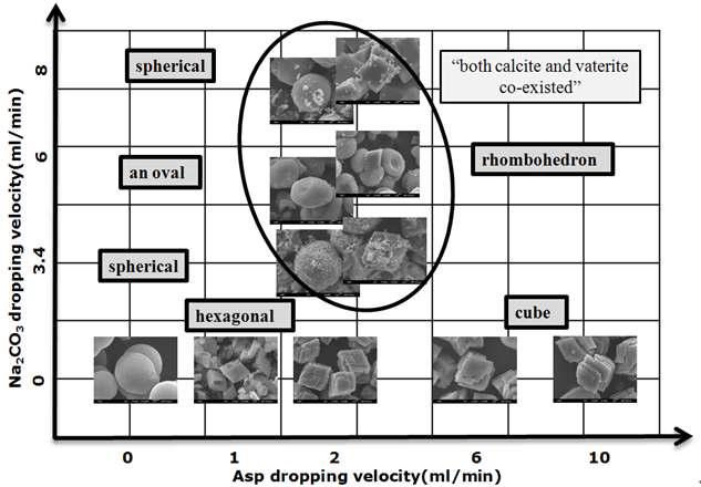 Various morphologies of CaCO3 crystals observed by SEM under different conditions of Na2CO3 and Asp dropping into CaCl2 solution.