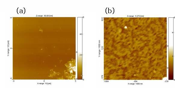 spin-coating에 의한 silk fibroin의 표면분산효과. 10 μm2 영역(a)과 1 μm2영역(b).