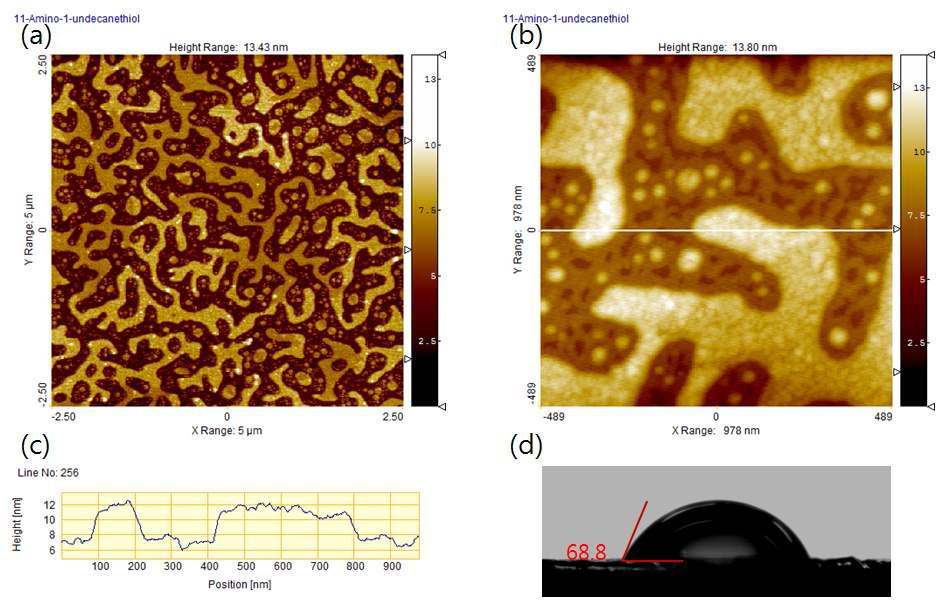 11A1T를 2시간 자기 조직화한 표면의 원자힘현미경 이미지 (a, b), 라인분석, DCA 측정결과(d).