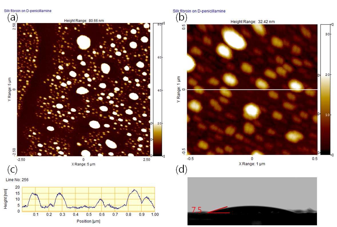 D-PA를 화합물로 사용하여 2시간 silk fibroin을 고정한 표면의 AFM 이미지 (a, b), 라인분석(c), DCA 측정결과(d).