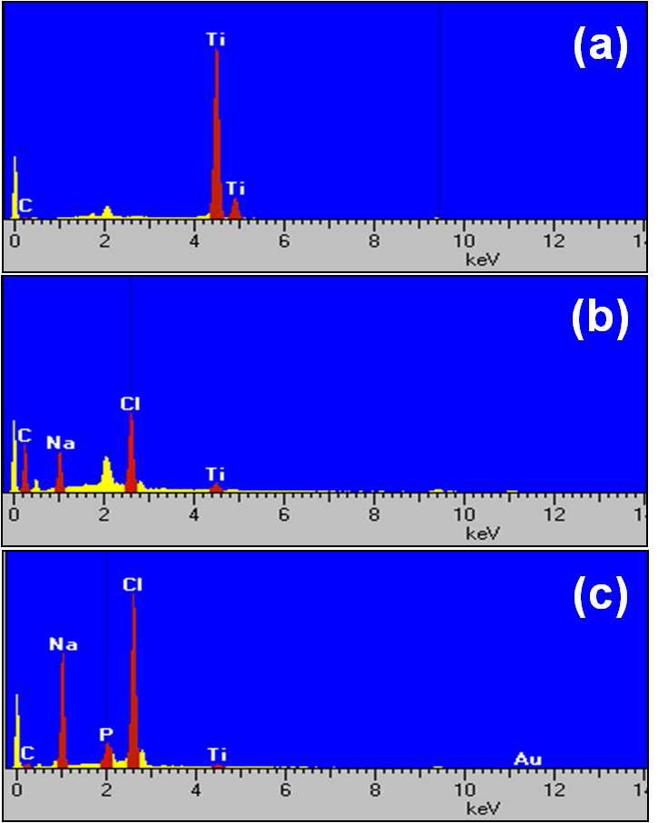 티타늄 표면에서 나노골드-젤라틴 입자의EDX analysis