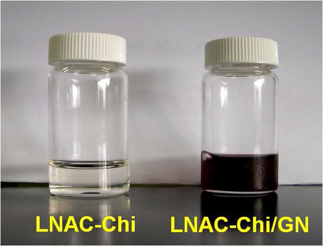 개질된 LNAC-Chi에 나노골드입자의 흡착으로 변화된 color가 나타나며 이는 적정 pH에 의한 LNAC-Chi/GN의 흡착을 의미하며 3개월간 생리적 pH를 유지하며 안정적인 상태를 확인하였다.