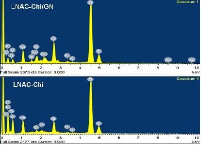 순수 티타늄 표면에 유전자가 결합된 키토산 나노골드가 표면처리 되어 칼라의 변화와 티타늄 표면의 변화를 관찰할수 있었다. 코팅된 유전자는 고정후 7일후에도 유전자 전달이 유효하였다.