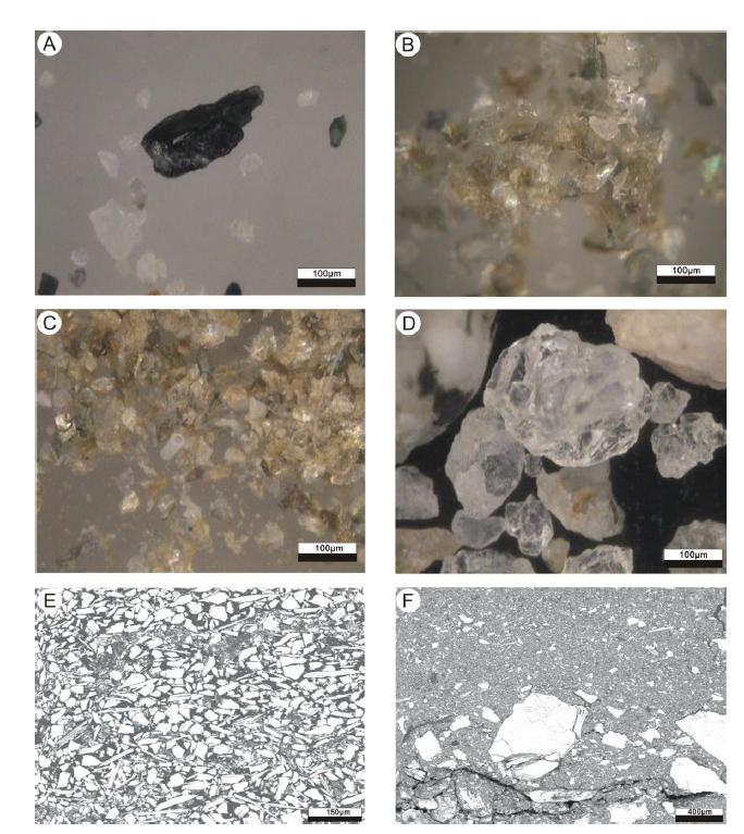 Microphotographs showing selected sediment intervals in core HS11. A: Pyroxene grain from 5cm. B: Mica grains from 50cm depth. C: Mica grain and diatom from 80cm depth. D: Fractured quartz grains from 113cm depth. Backscattered electron images showing microtexture. E: Horizontal structure of micas from 80cm depth. F: Sand and mud layer.