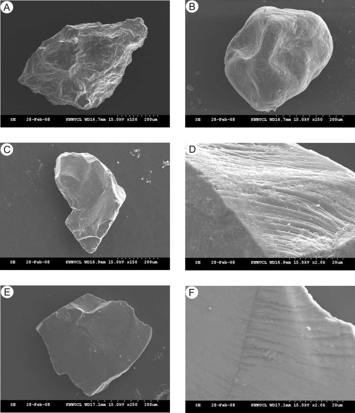 SEM micrographs showing grain morphology of selected sediments in core HS12. A and B: Carbonate grains. C, D, E and F: Quartz grains.