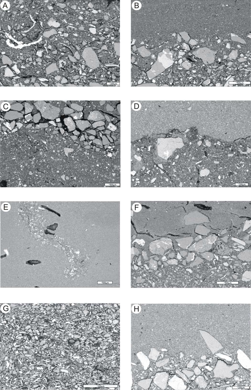 Backscattered electron images showing microtexture of sediments in core HS14.