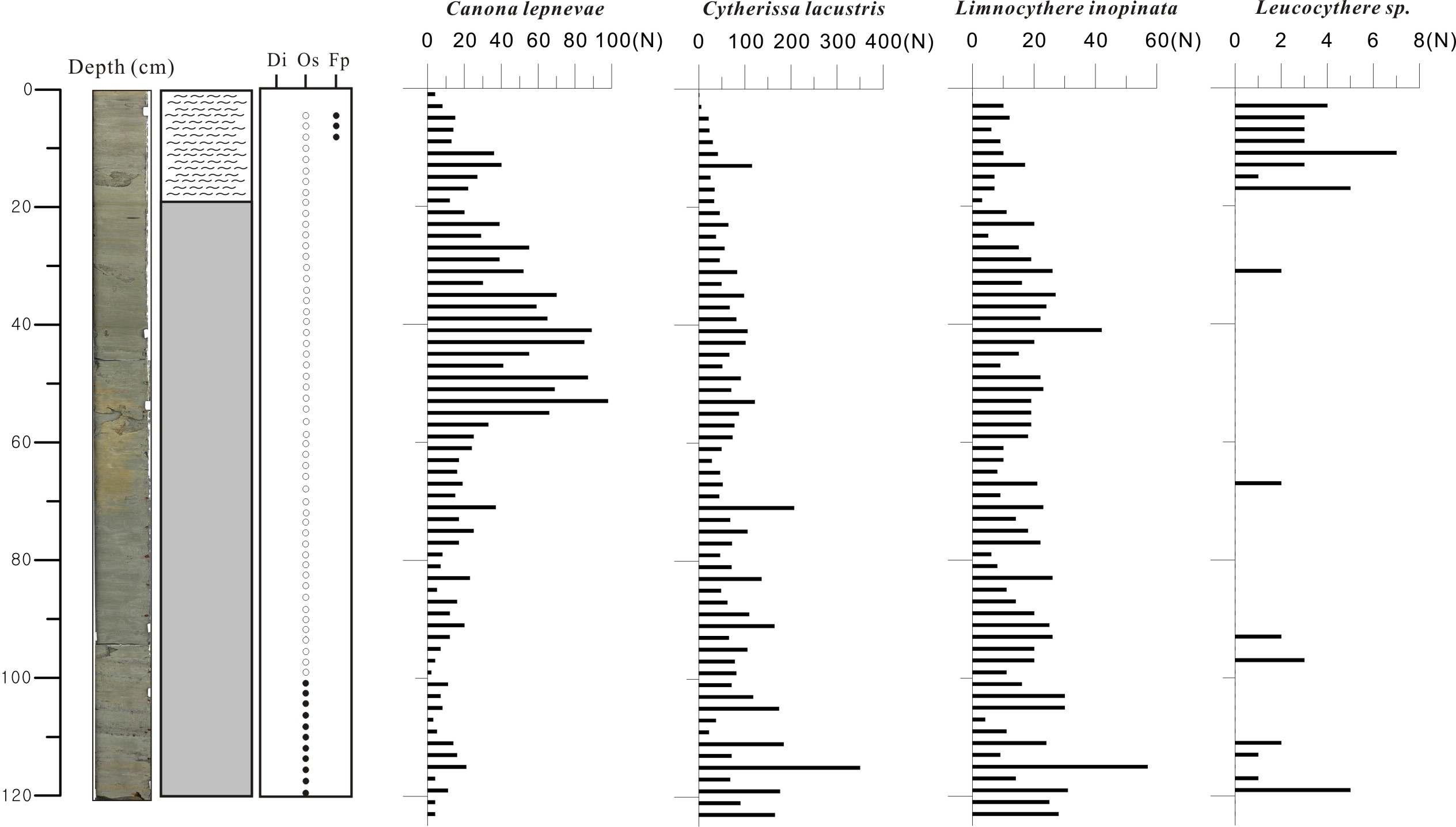 Distribution of sotracods in HS5 core sediment from Lake Hovsgol.