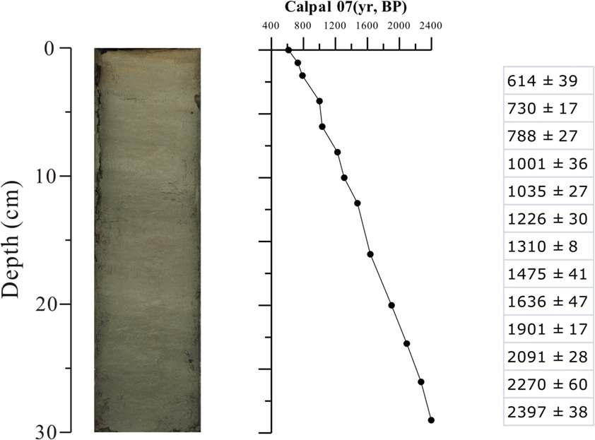 AMS analysis of HS5 core sediment from Lake Hovsgol.