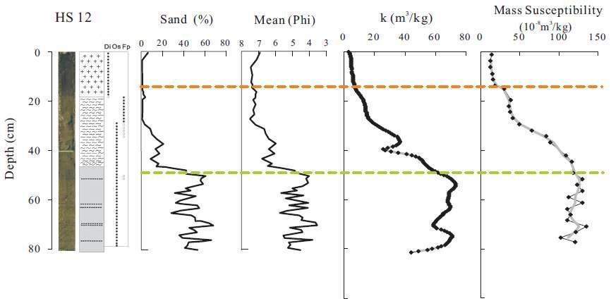 Downcore variations of magnetic susceptibility (core HS12)