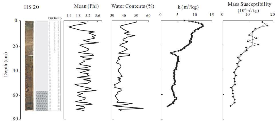 Downcore variations of magnetic susceptibility (core HS20)