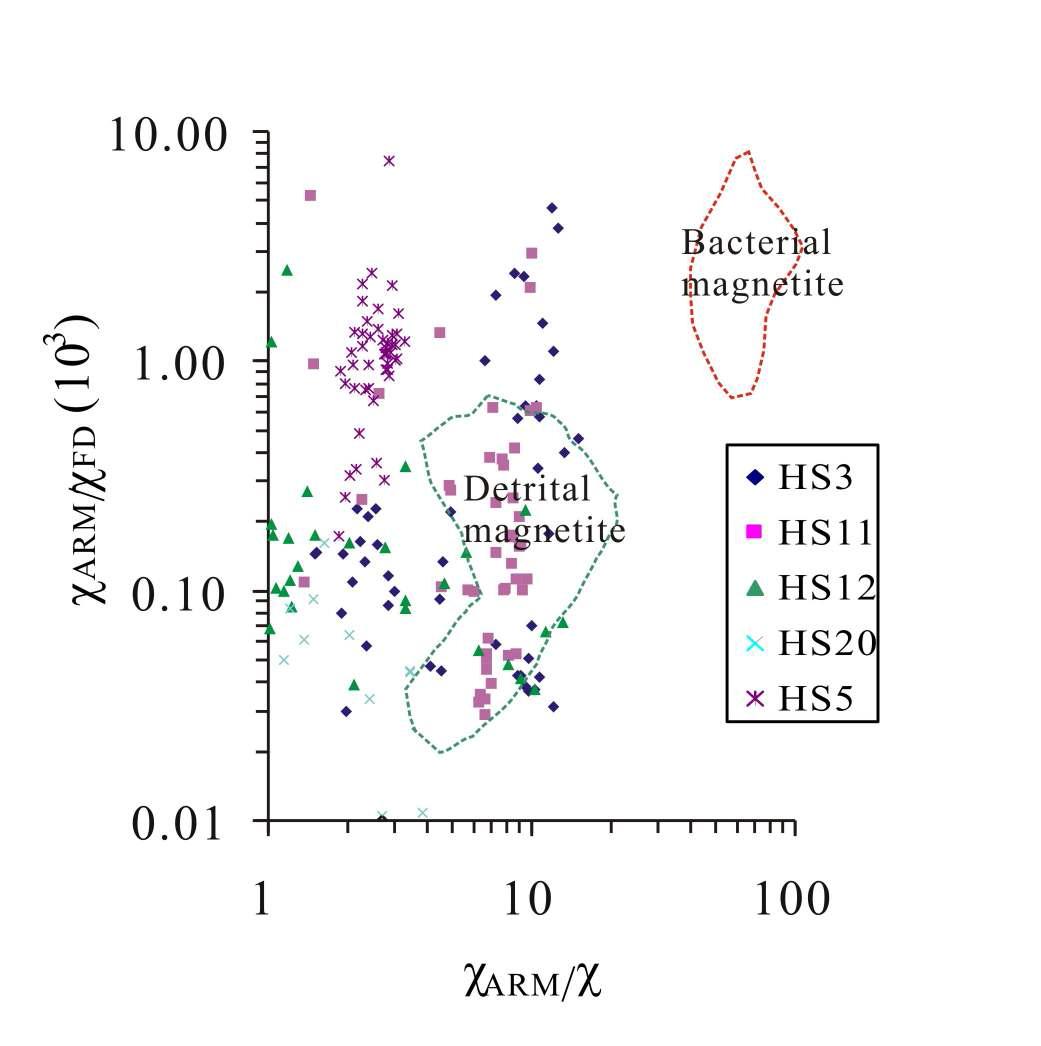 Biplot of χARM/χFD versus χARM/χ distinguishing type of magnetite (after Oldfield, 1994).