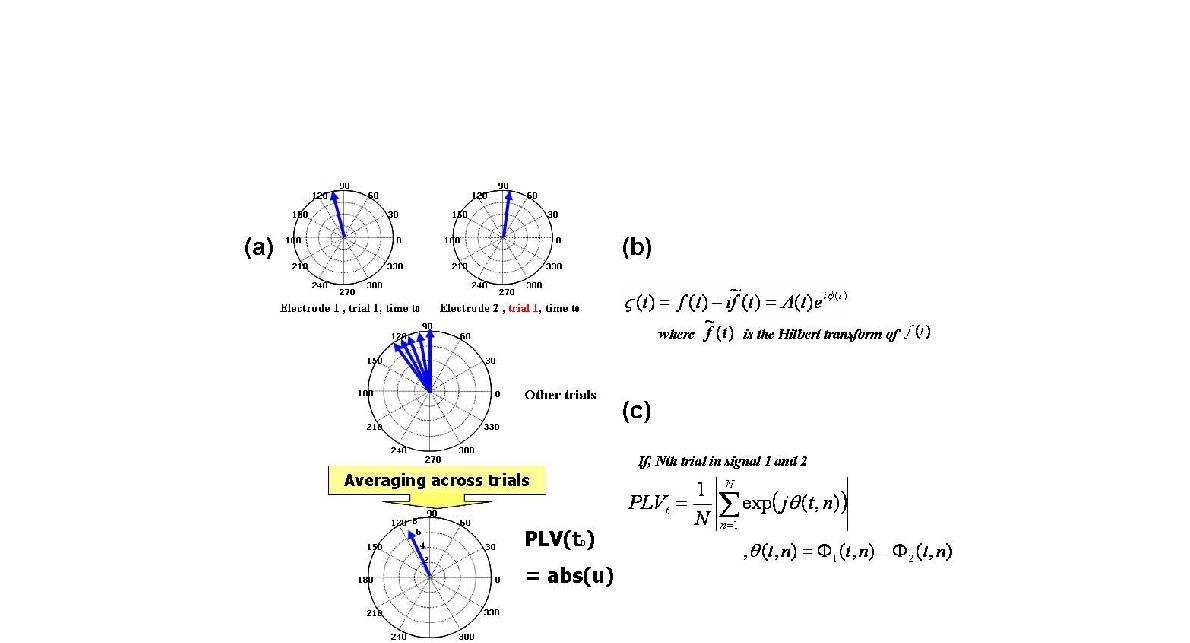 (a) 위상 동기화 지수를 구하기 위(c한) 위개상념 도동와기 화순 간지 수위 상수을식 추출하는 (b) Hilbert transform 수식 및