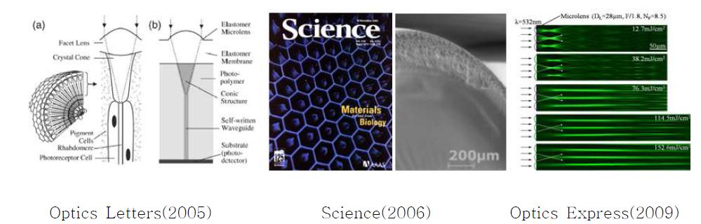 삼차원 곤충눈의 광학구조를 공학모사한 광각 이미징 렌즈관련 본 연구팀의 연구논문 발표실적.