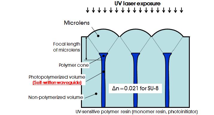 자외선 레이저 기반 미세렌즈에 자기정렬된 자기쓰임 광도파로 제작