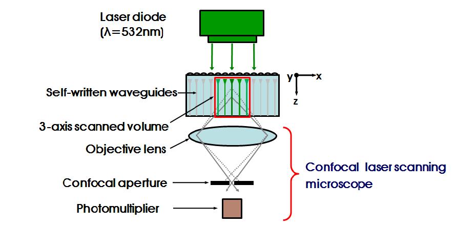 자기정렬 미세렌즈-광도파로의 광특성 측정을 위해 개량된 공초점주사현미경 구성