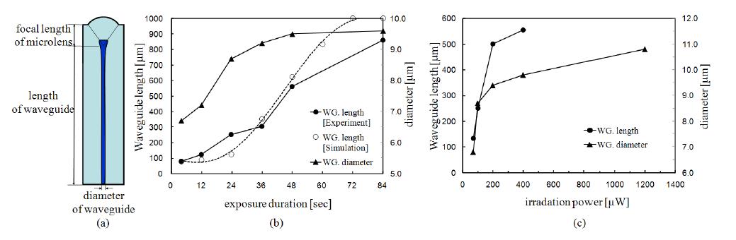 자기쓰임 광도파로의 길이와 코어 직경의 변화에 대한 레이저의 입사시간과 입사파워의 영향