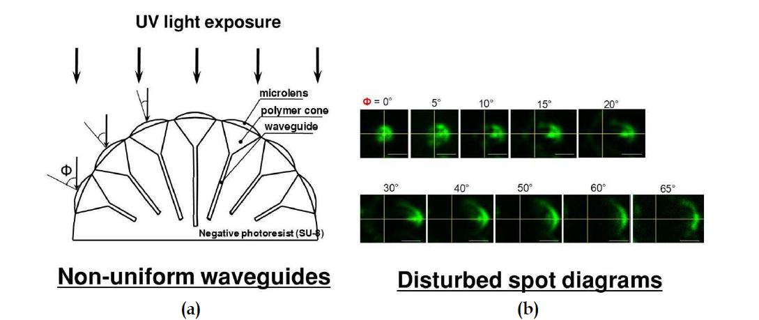 자기쓰임 광도파로 제작 시 자외선의 off-axis rays에 따른 불균일한 광도파로 형성