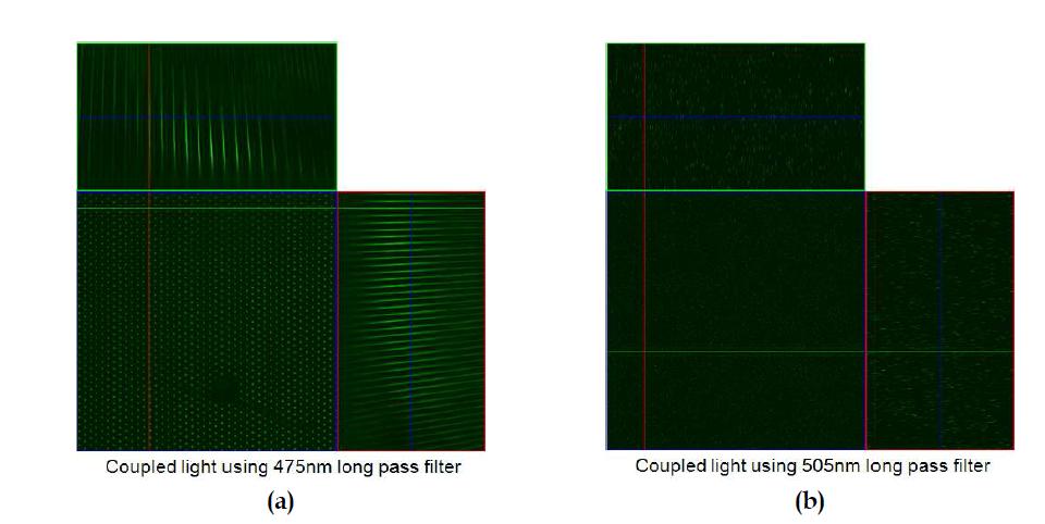 미세렌즈에 광결합된 빛의 공초점 광주사 현미경 이미지
