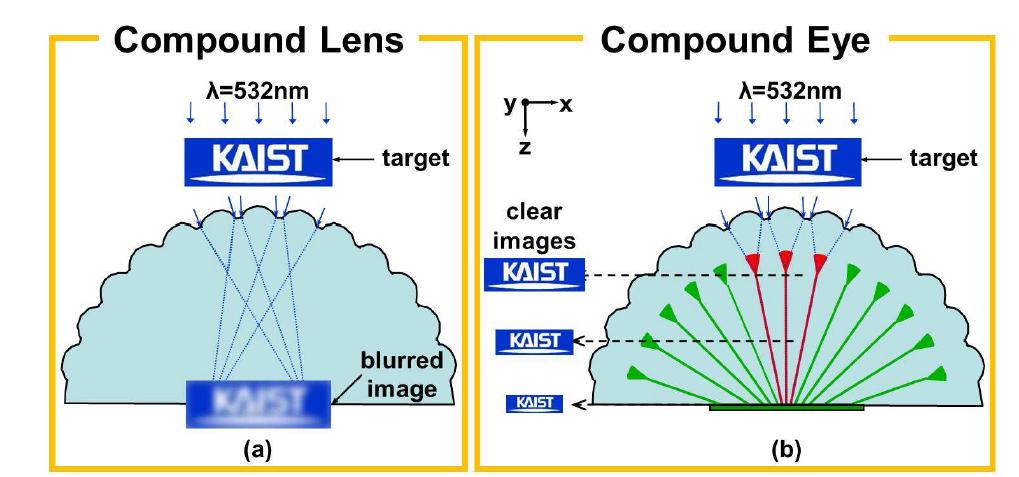 미세렌즈가 구면 배열된 렌즈와 곤충눈의 미세광학구조를 공학모사한 ACE렌즈 간의 이미징 비교