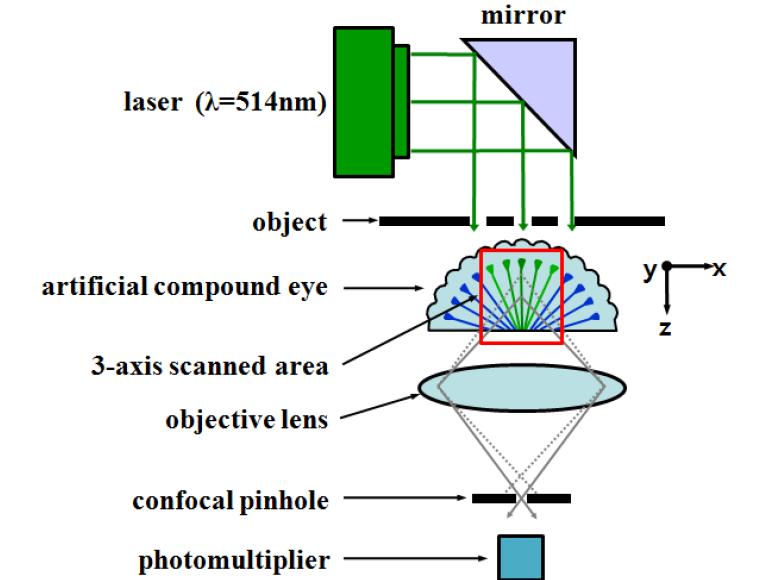 ACE렌즈의 3차원 광학 이미징 특성 평가를 위한 공초점 광주사 현미경 기반의 구성도