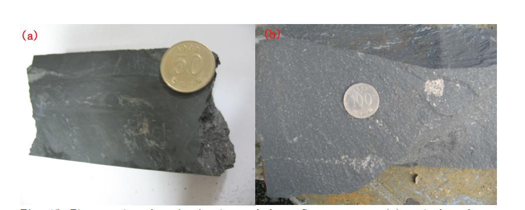 Photographs of pyrite in the coal from Guemsan area (a) and slate from Boeun area (b).