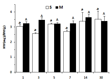 Changes of Heart weight (mg)/Body weight (g) at 1, 3, 5, 7, 14 and 30 days after sham ligation (S) and ligation of left coronary artery (M).